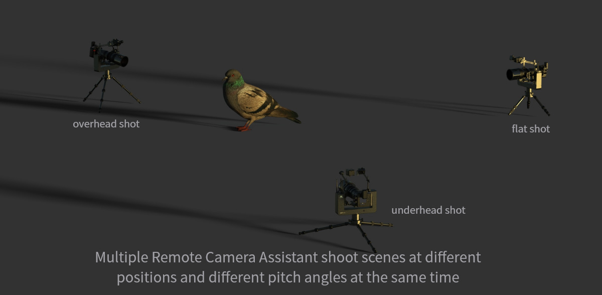Different shooting angles
