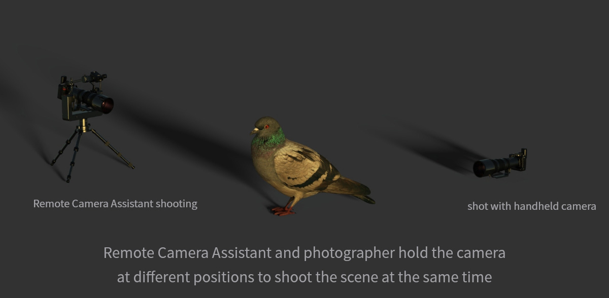 Different shooting angles